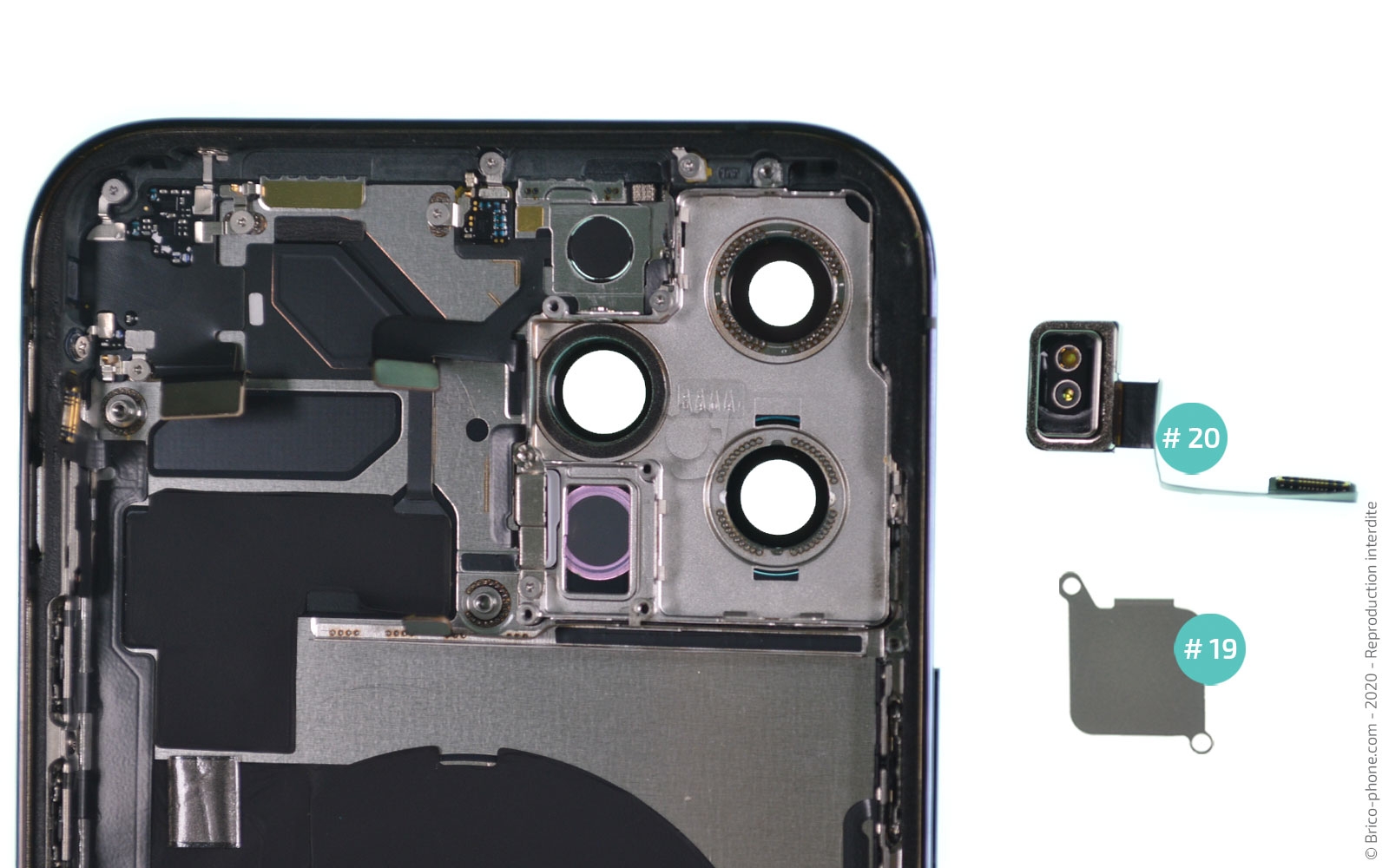 Démontage complet sur iPhone 12 Pro Max photo 4