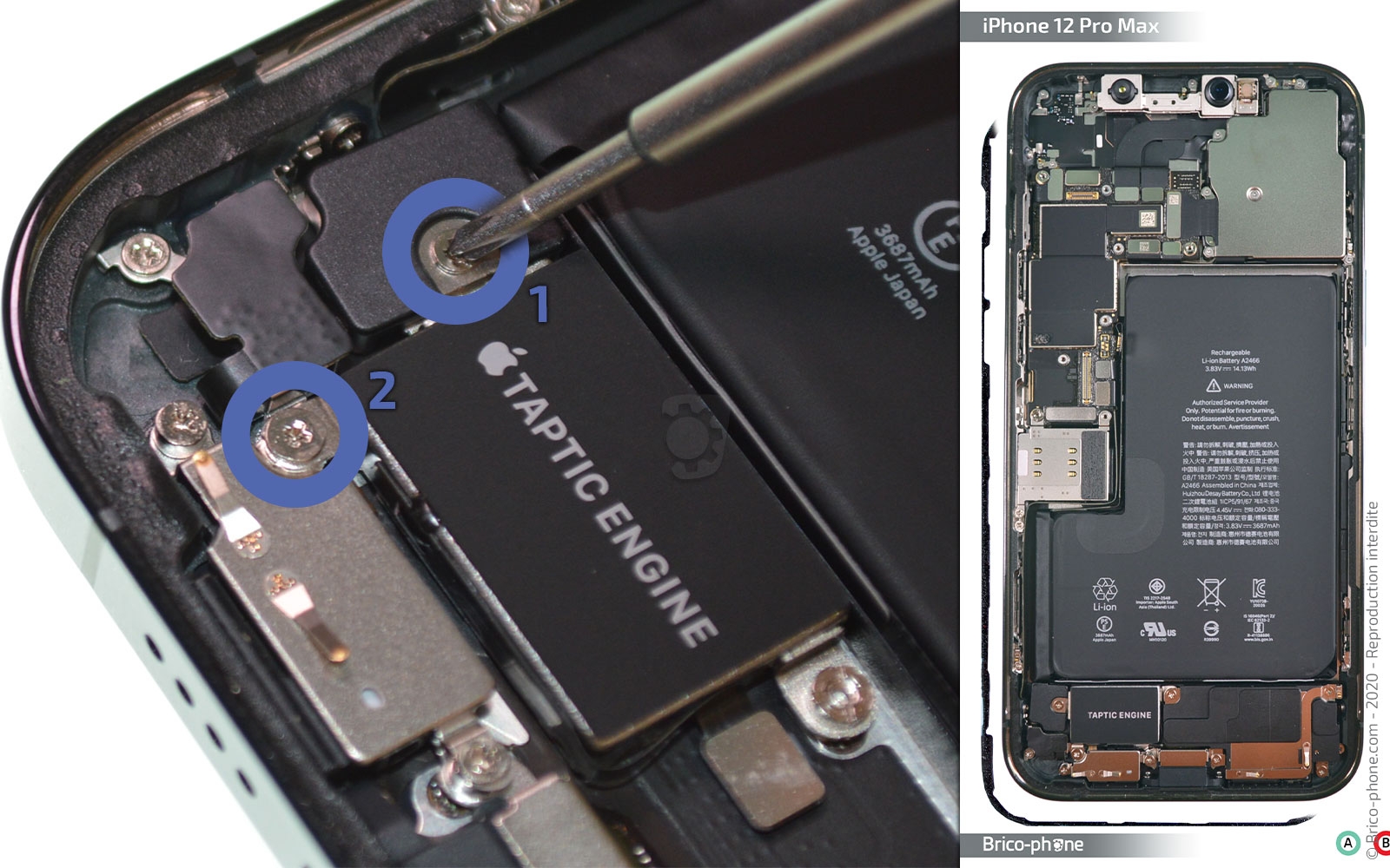 Démontage complet sur iPhone 12 Pro Max photo 1