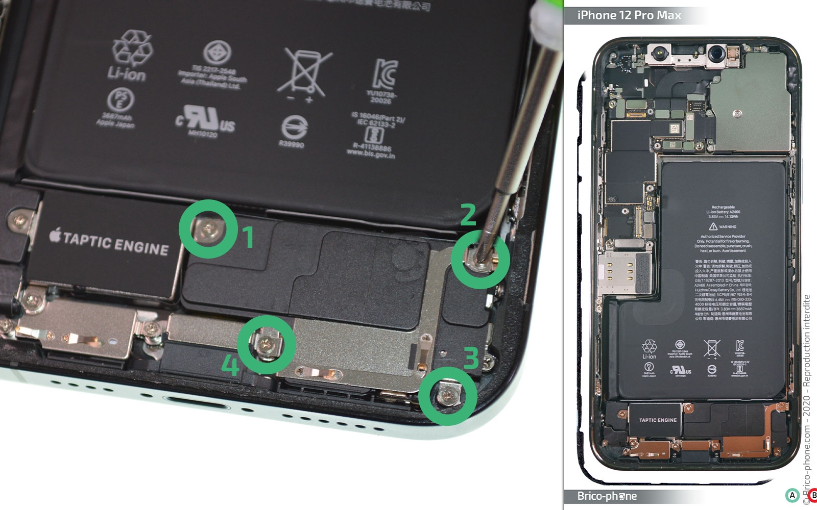 Démontage complet sur iPhone 12 Pro Max photo 1