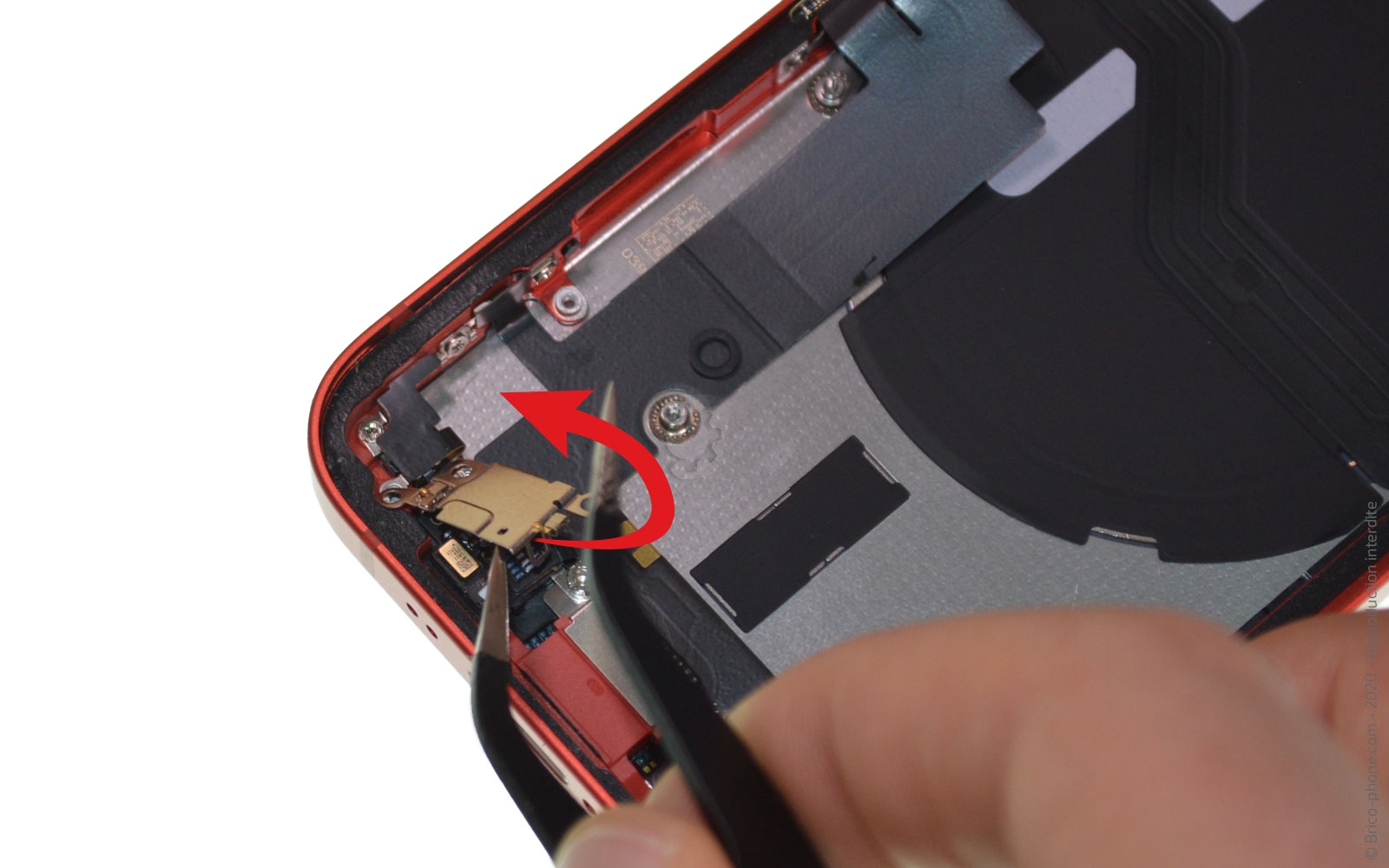 Démontage complet sur iPhone 12 Mini photo 3