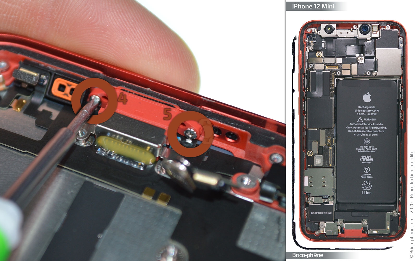 Démontage complet sur iPhone 12 Mini photo 3