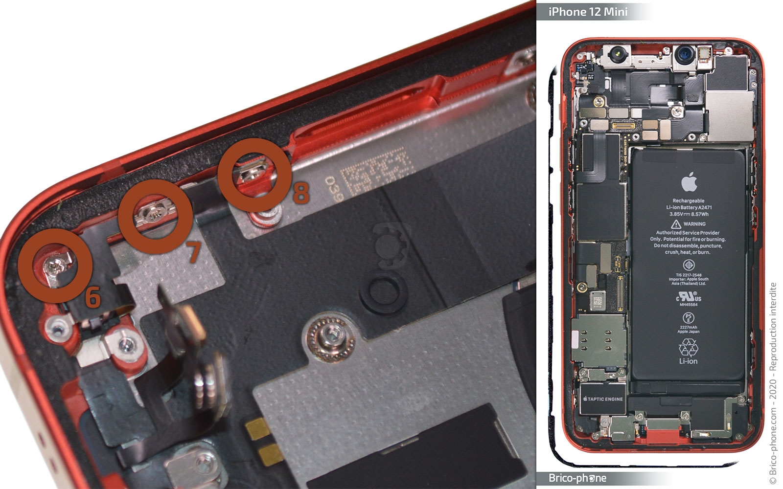 Démontage complet sur iPhone 12 Mini photo 4