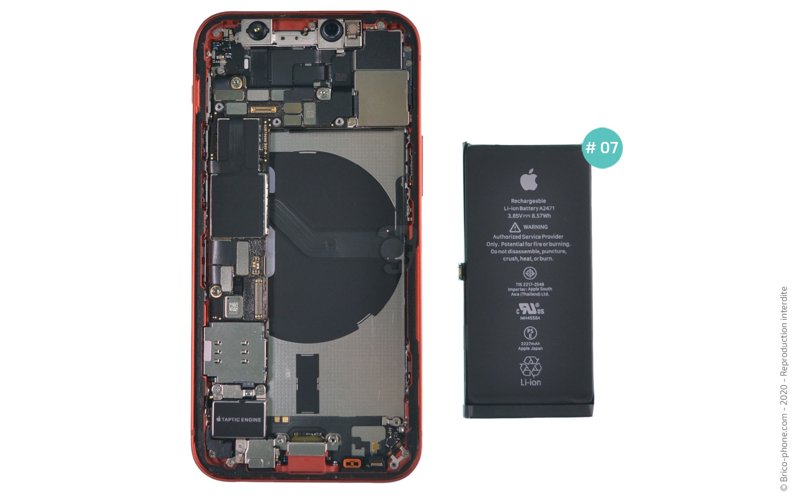 Démontage complet sur iPhone 12 Mini photo 2