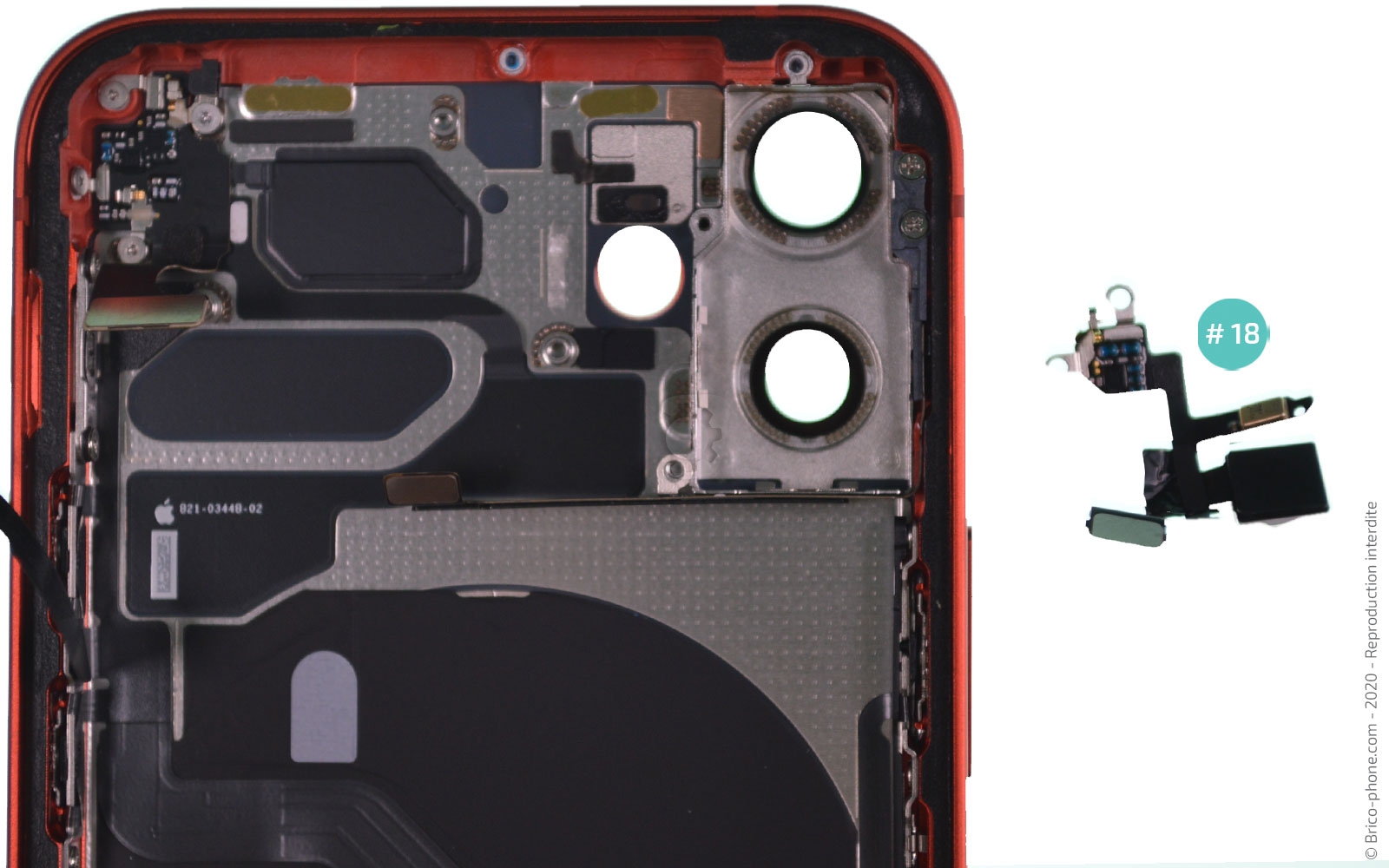 Démontage complet sur iPhone 12 Mini photo 4