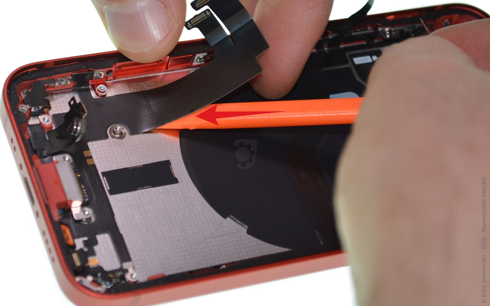 Démontage complet sur iPhone 12 Mini photo 2