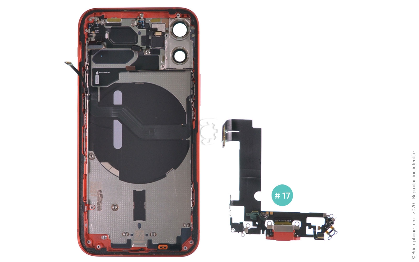Démontage complet sur iPhone 12 Mini photo 4