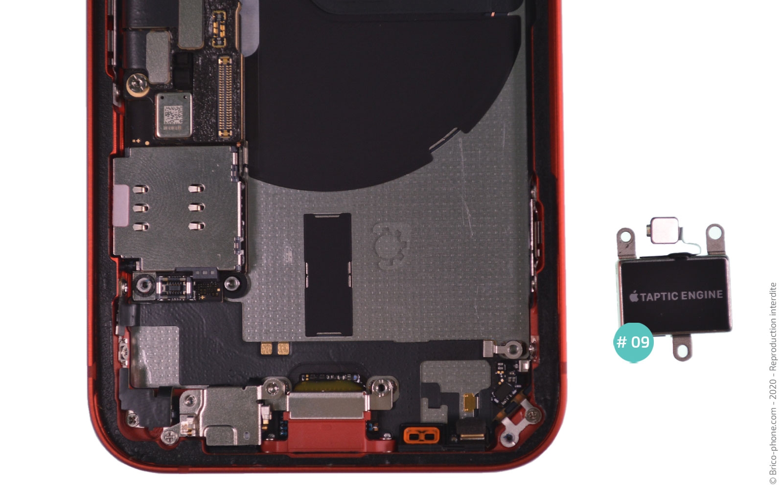 Démontage complet sur iPhone 12 Mini photo 4