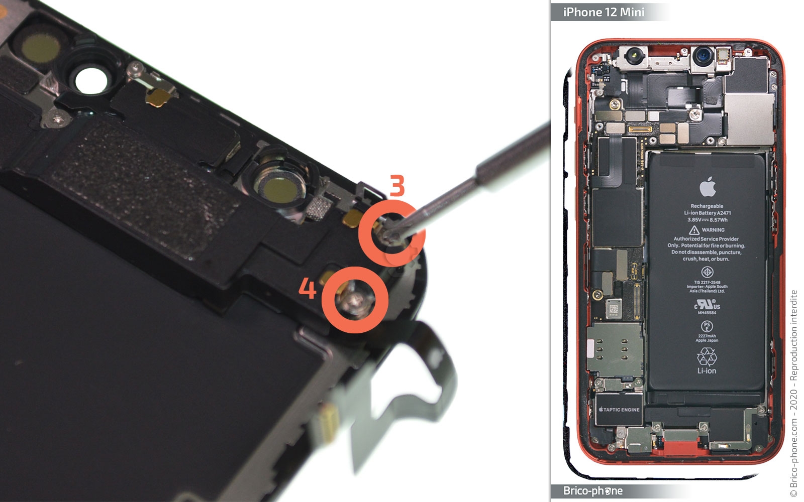 Démontage complet sur iPhone 12 Mini photo 1