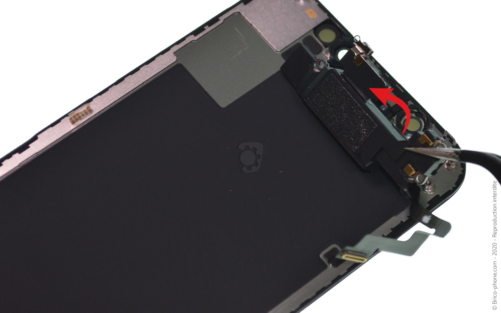 Démontage complet sur iPhone 12 Mini photo 3