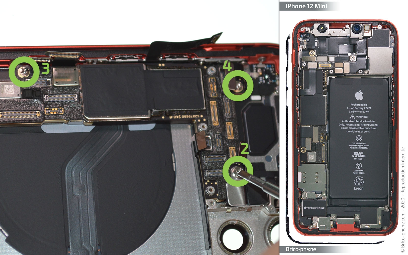 Démontage complet sur iPhone 12 Mini photo 1