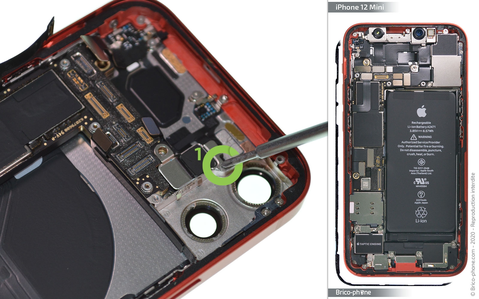 Démontage complet sur iPhone 12 Mini photo 2