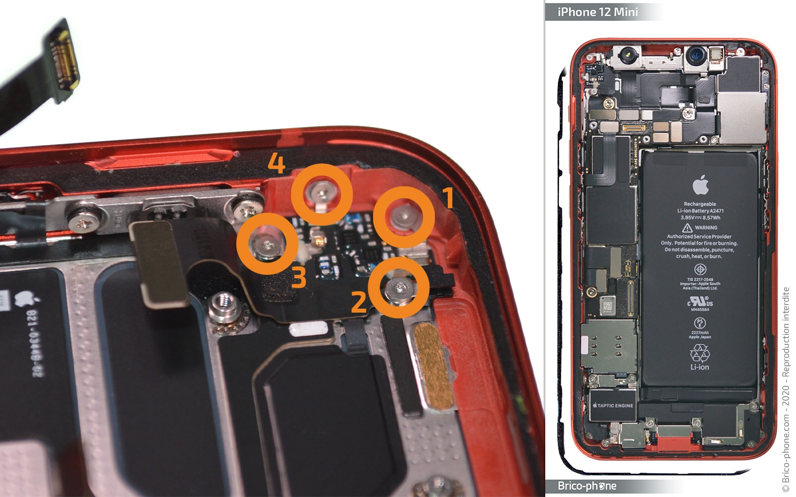 Démontage complet sur iPhone 12 Mini photo 1