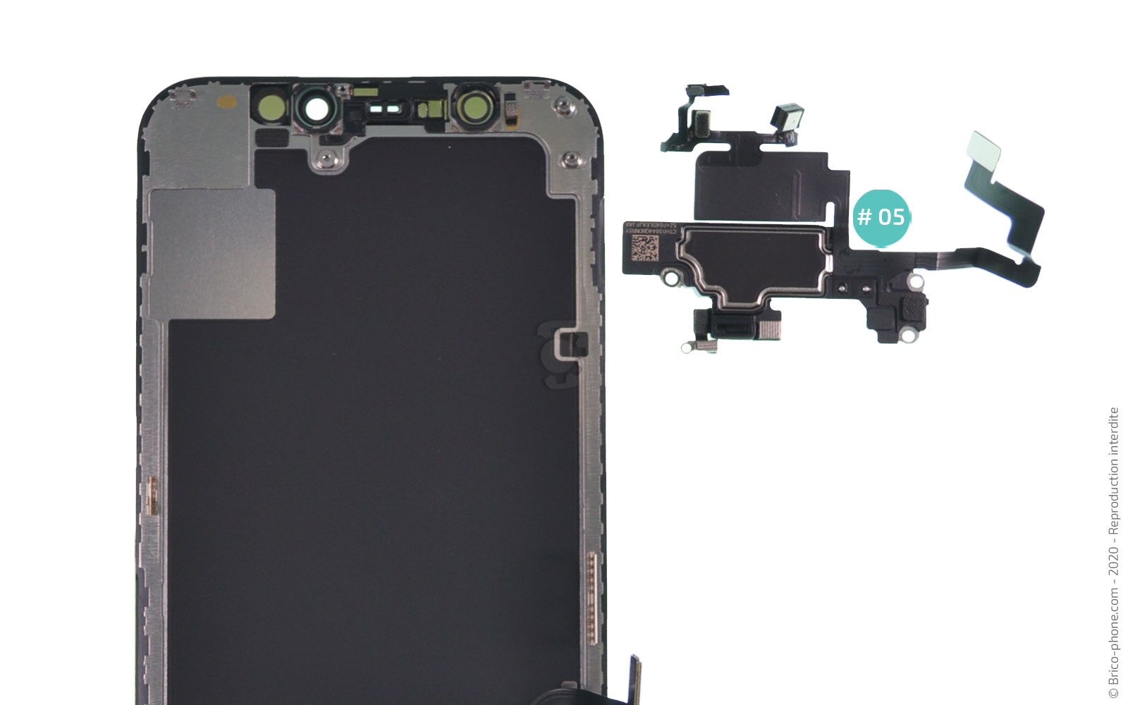 Démontage complet sur iPhone 12 Mini photo 4