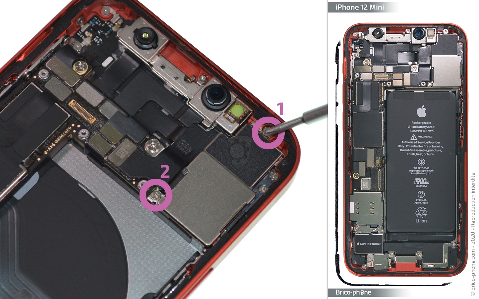 Démontage complet sur iPhone 12 Mini photo 1