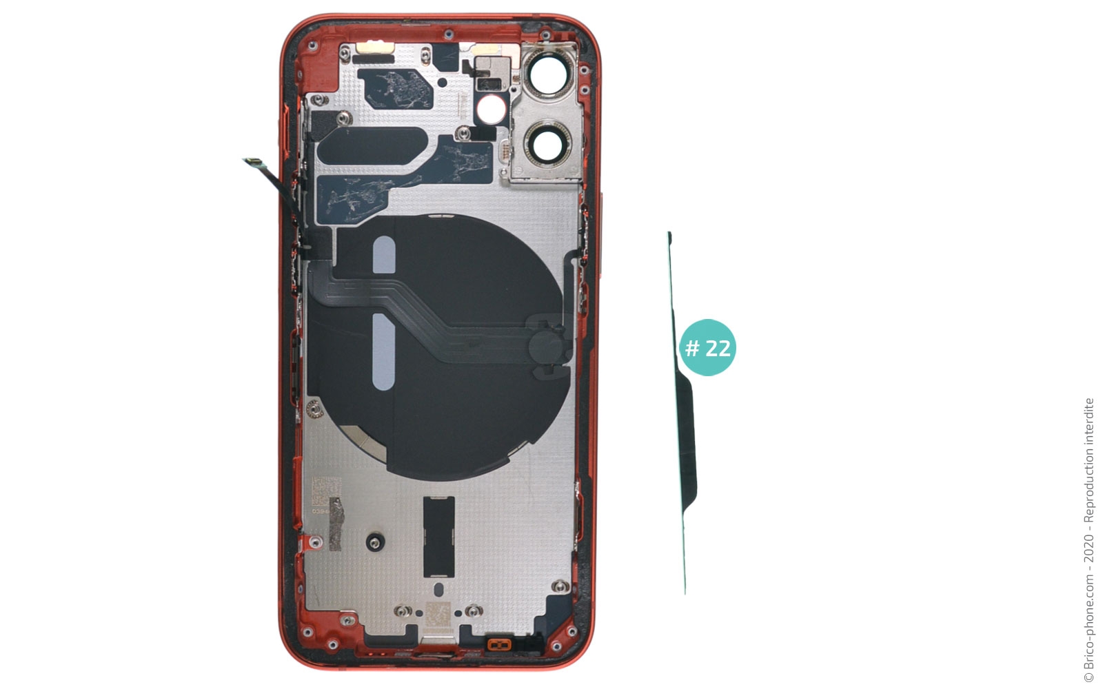 Démontage complet sur iPhone 12 Mini photo 2