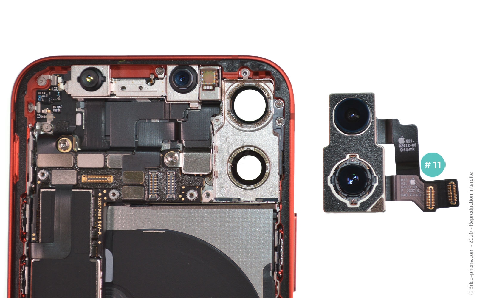 Démontage complet sur iPhone 12 Mini photo 4