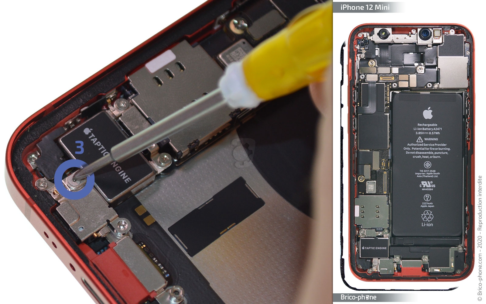 Remplacer le connecteur de charge sur iPhone 12 Mini photo 1