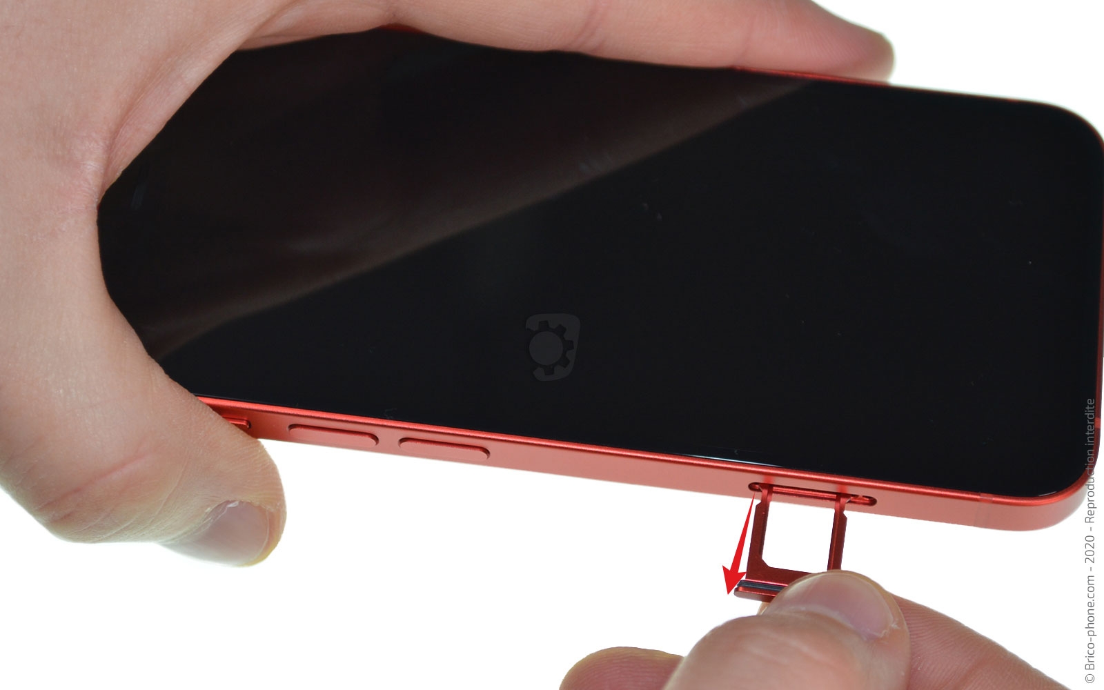 Changement du haut-parleur externe sur iPhone 12 Mini photo 2