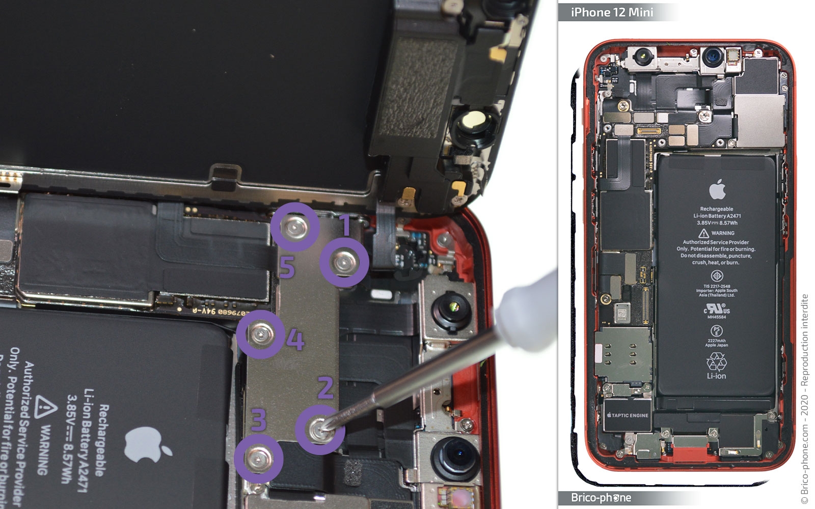 Remplacement du Taptic Engine (vibreur) sur iPhone 12 Mini photo 1