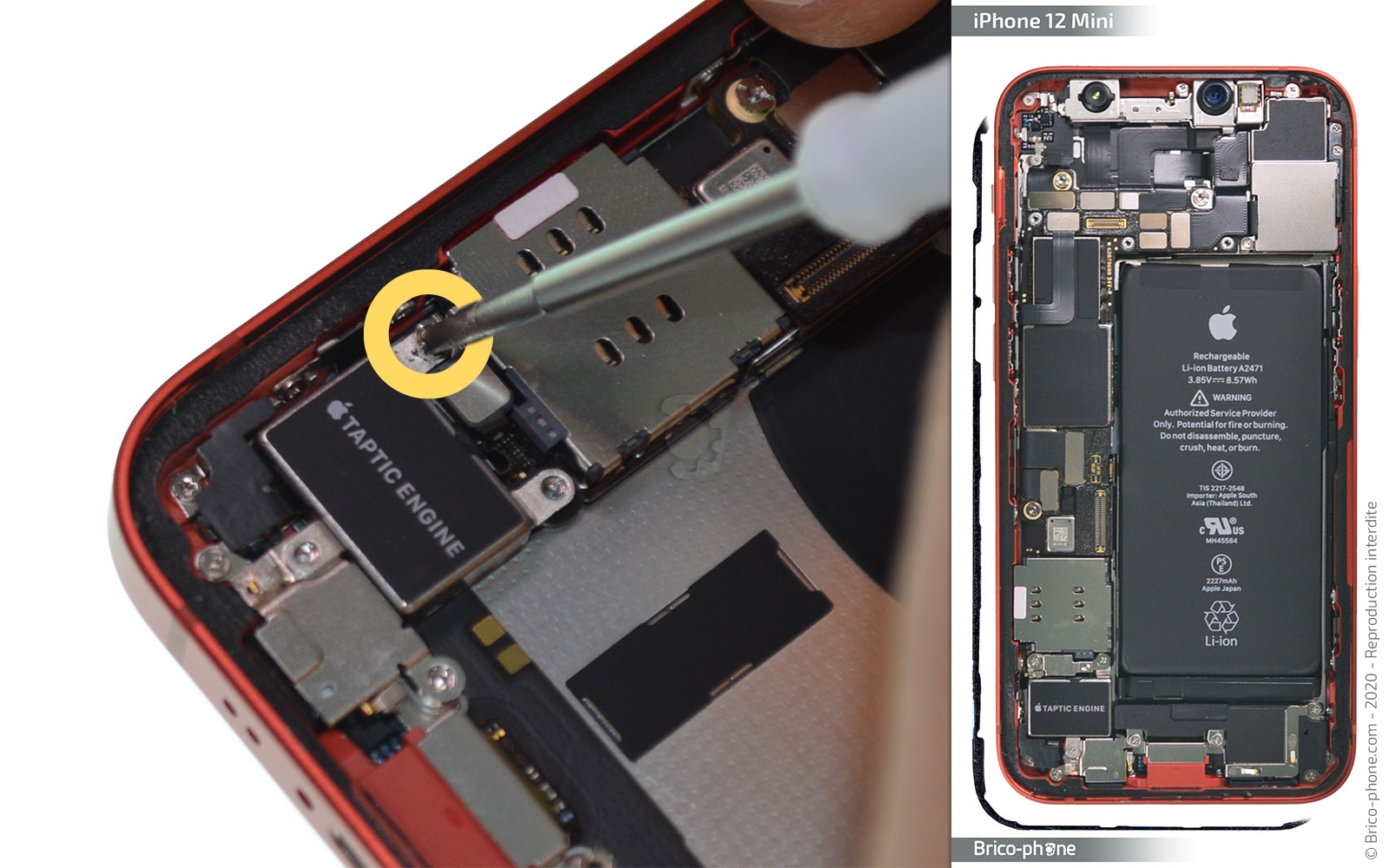 Remplacement du Taptic Engine (vibreur) sur iPhone 12 Mini photo 1