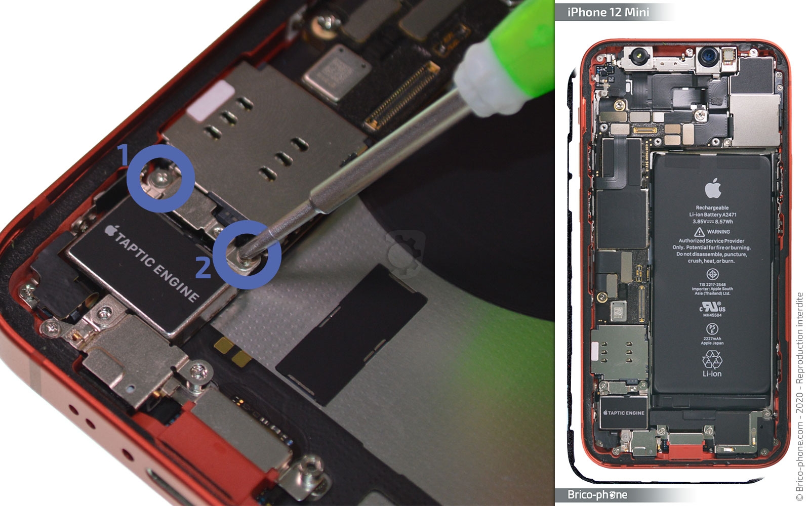 Remplacement du Taptic Engine (vibreur) sur iPhone 12 Mini photo 2