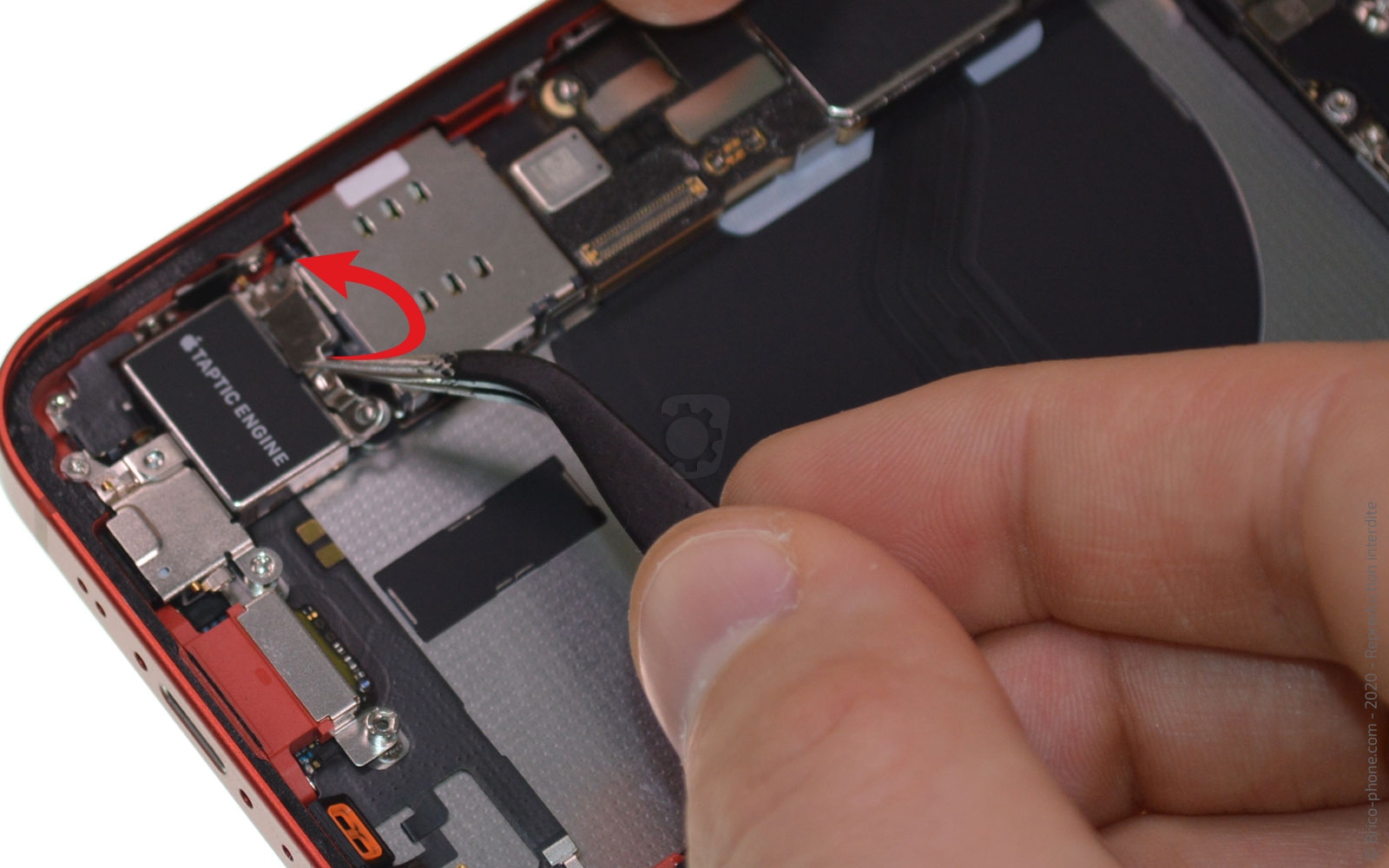 Remplacement du Taptic Engine (vibreur) sur iPhone 12 Mini photo 3