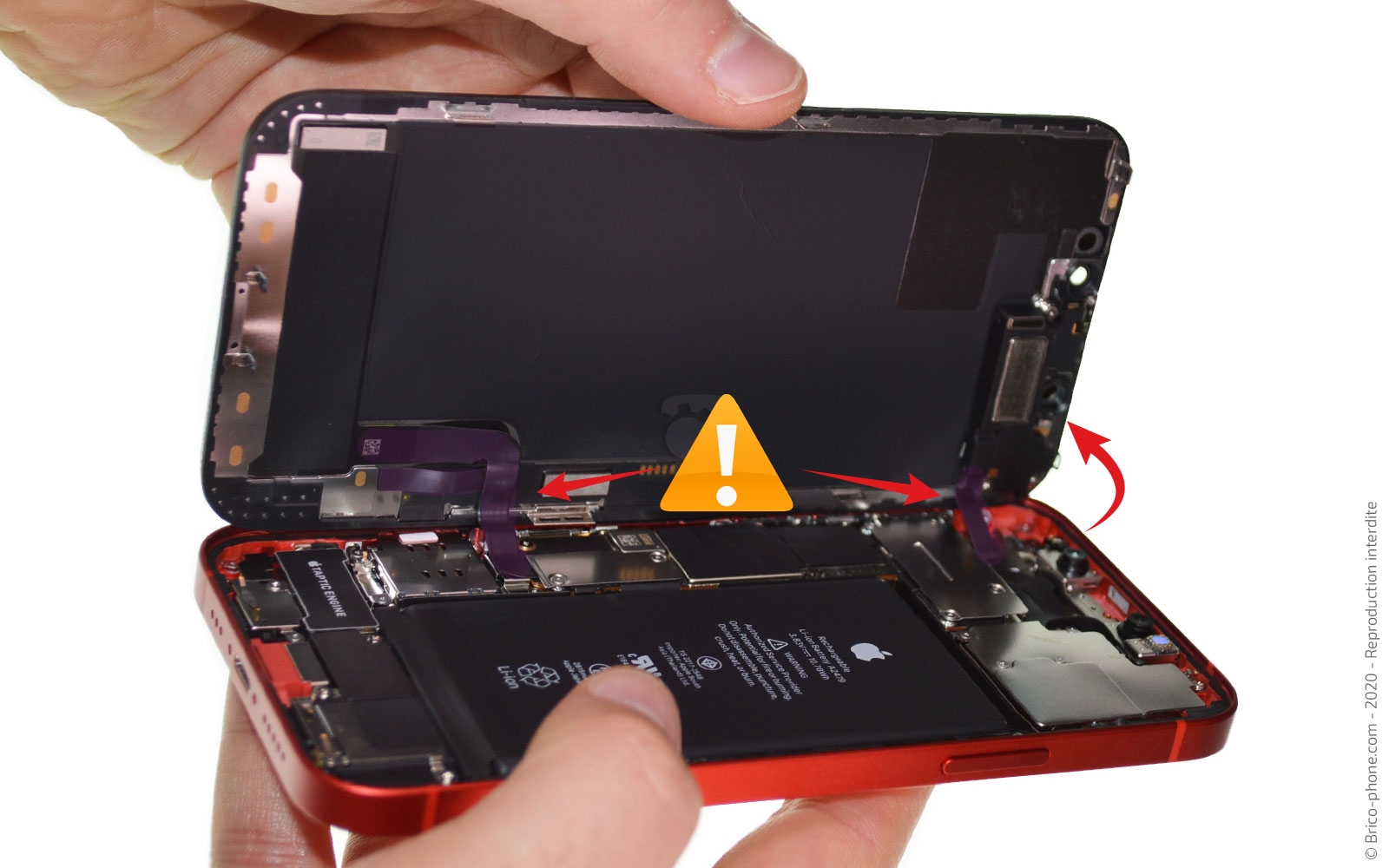 Changement du haut-parleur externe sur iPhone 12 photo 2