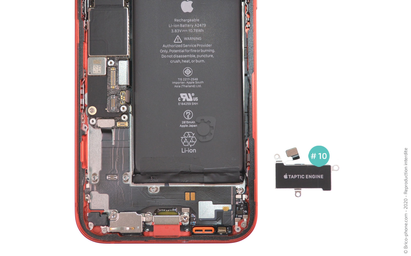 Changement du Taptic Engine sur iPhone 12 photo 4