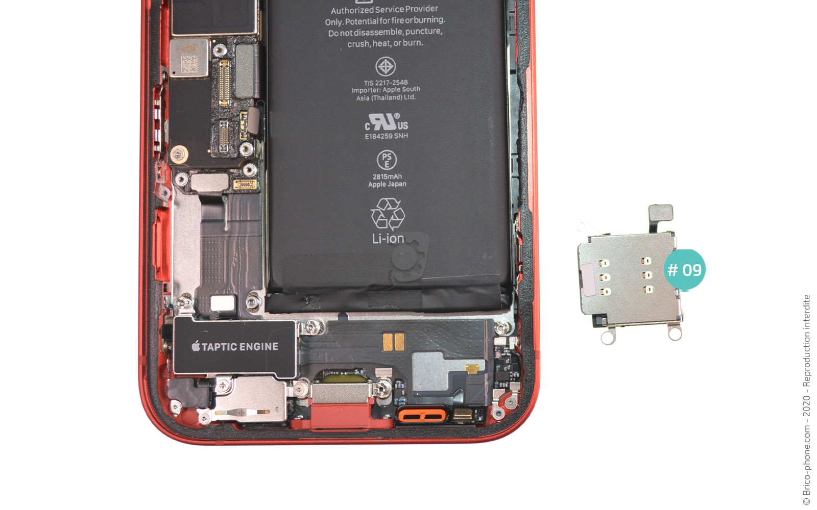 Changement du Taptic Engine sur iPhone 12 photo 2