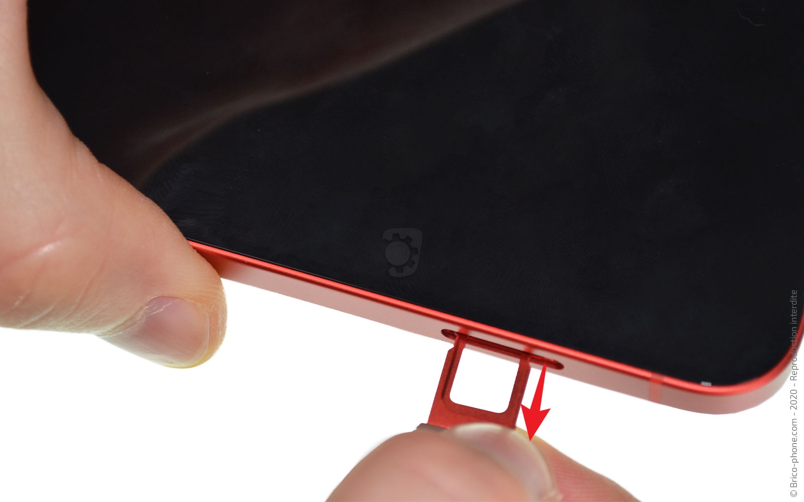 Changement du Taptic Engine sur iPhone 12 photo 3