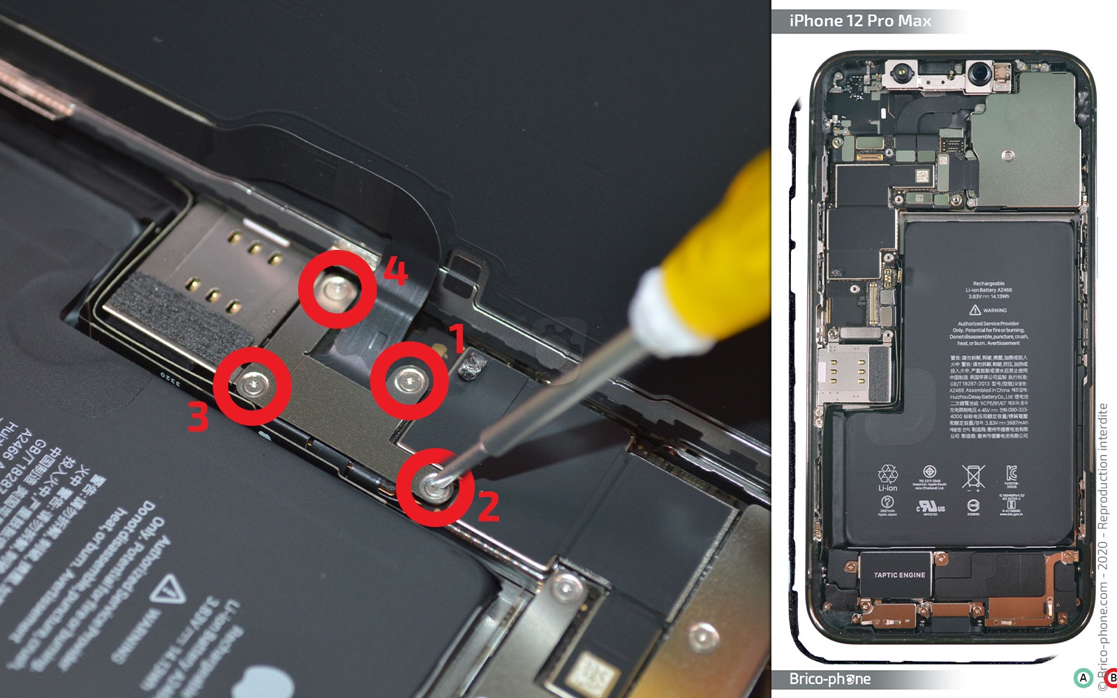 Changement du haut-parleur externe sur iPhone 12 Pro Max photo 1