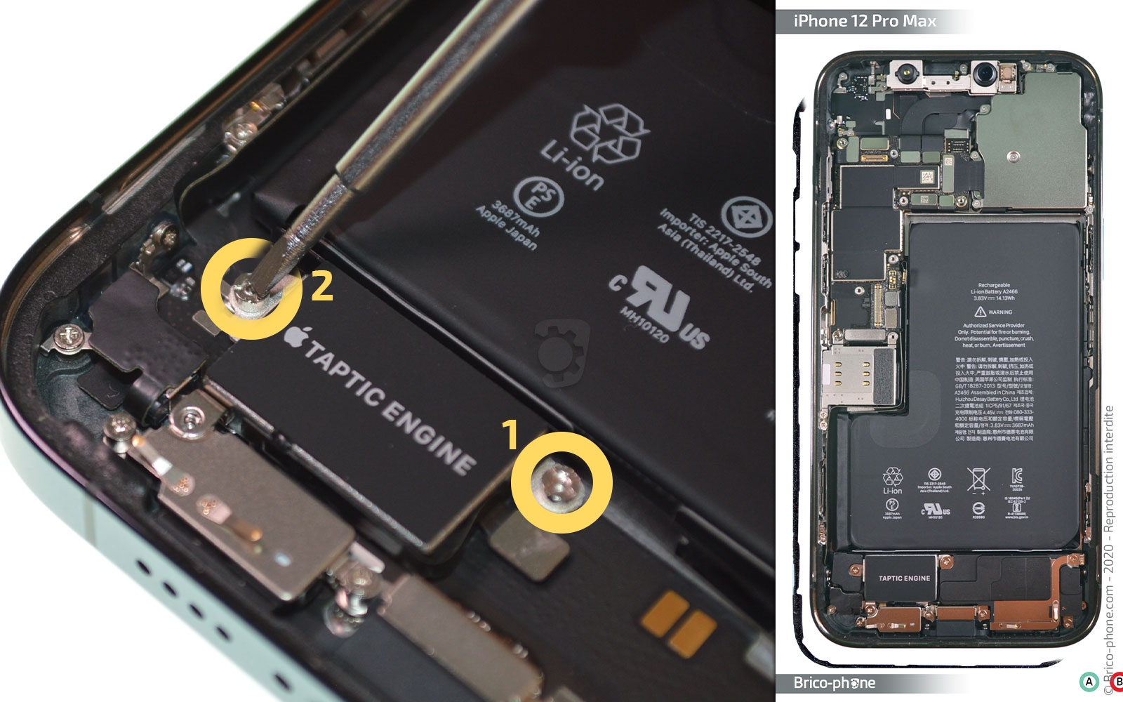 Changement du Taptic Engine sur iPhone 12 Pro Max photo 1