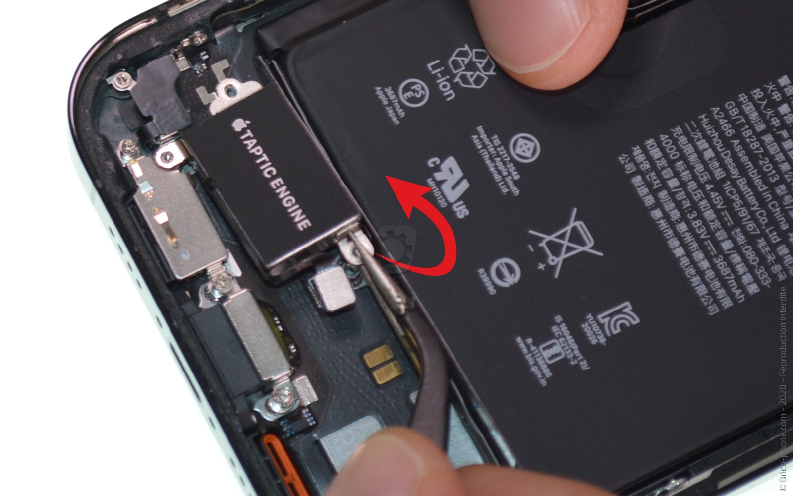 Changement du Taptic Engine sur iPhone 12 Pro Max photo 3