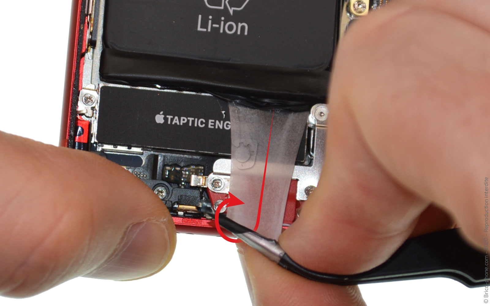 Changement de coque arrière sur iPhone SE 2020 photo 3