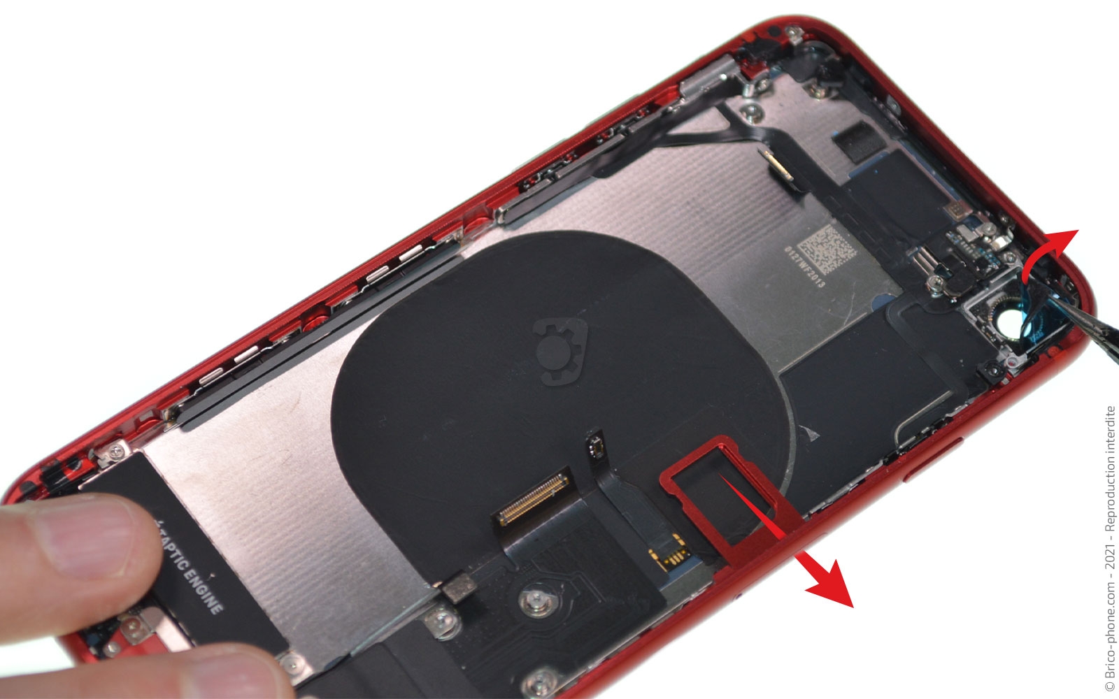 Changement de coque arrière sur iPhone SE 2020 photo 1