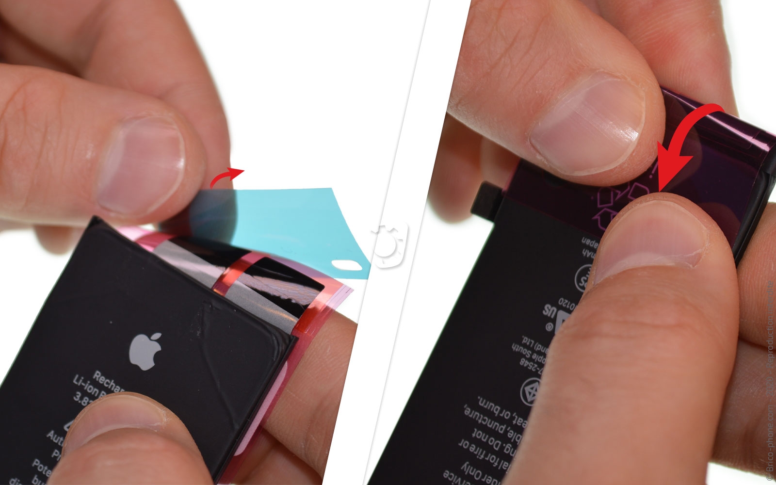 Changement de coque arrière sur iPhone SE 2020 photo 3