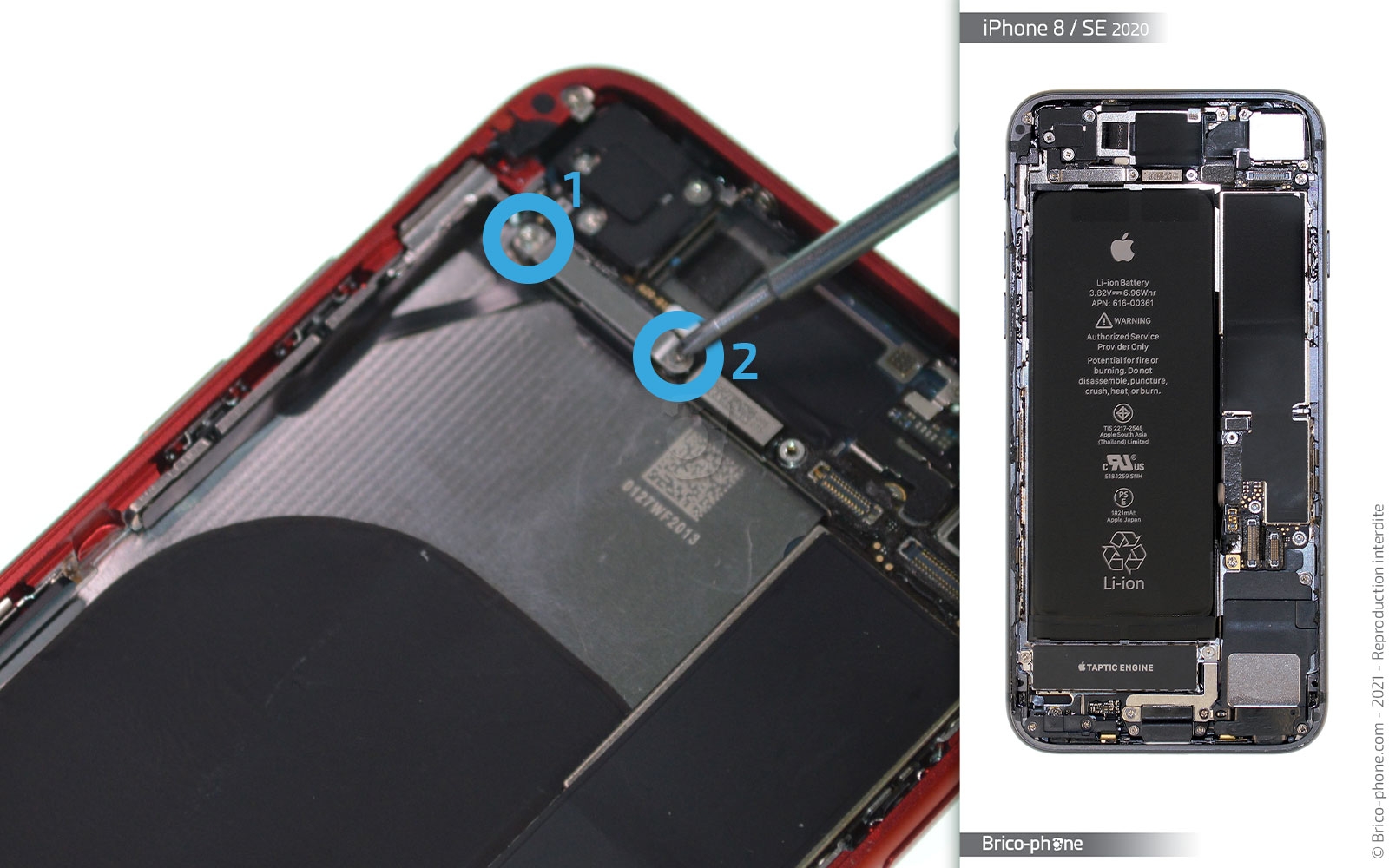 Changement de coque arrière sur iPhone SE 2020 photo 1