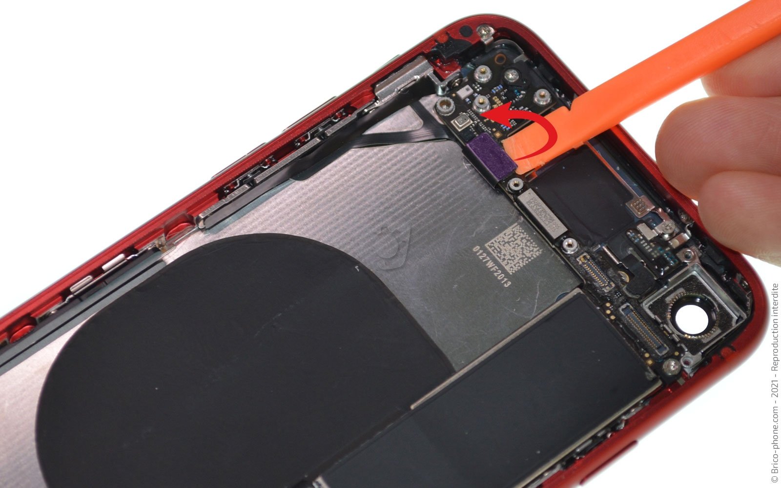 Changement de coque arrière sur iPhone SE 2020 photo 1