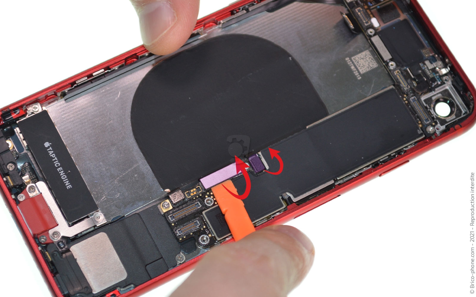 Changement de coque arrière sur iPhone SE 2020 photo 2