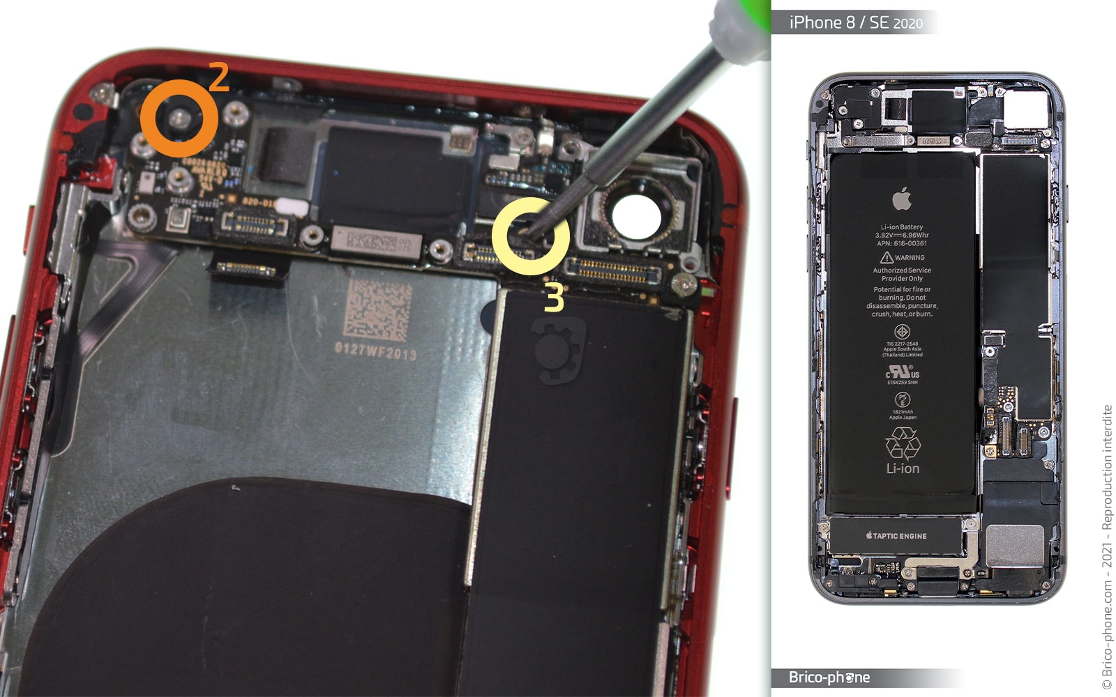 Changement de coque arrière sur iPhone SE 2020 photo 3