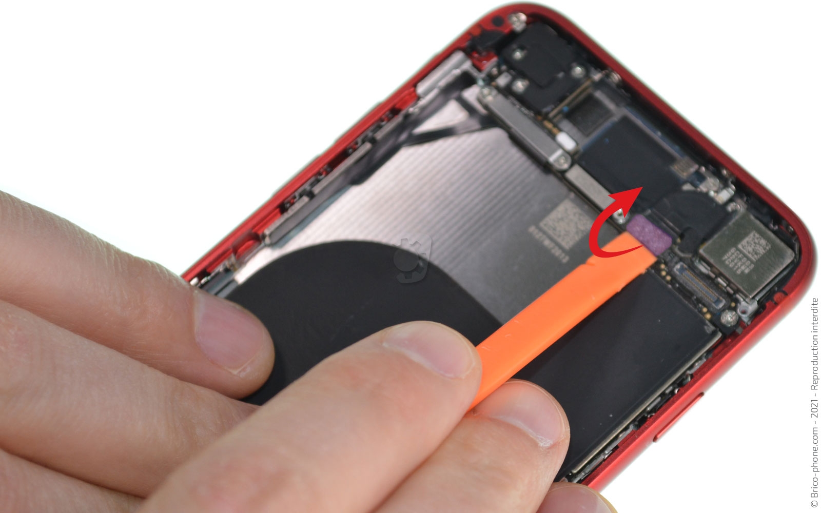 Changement de coque arrière sur iPhone SE 2020 photo 1