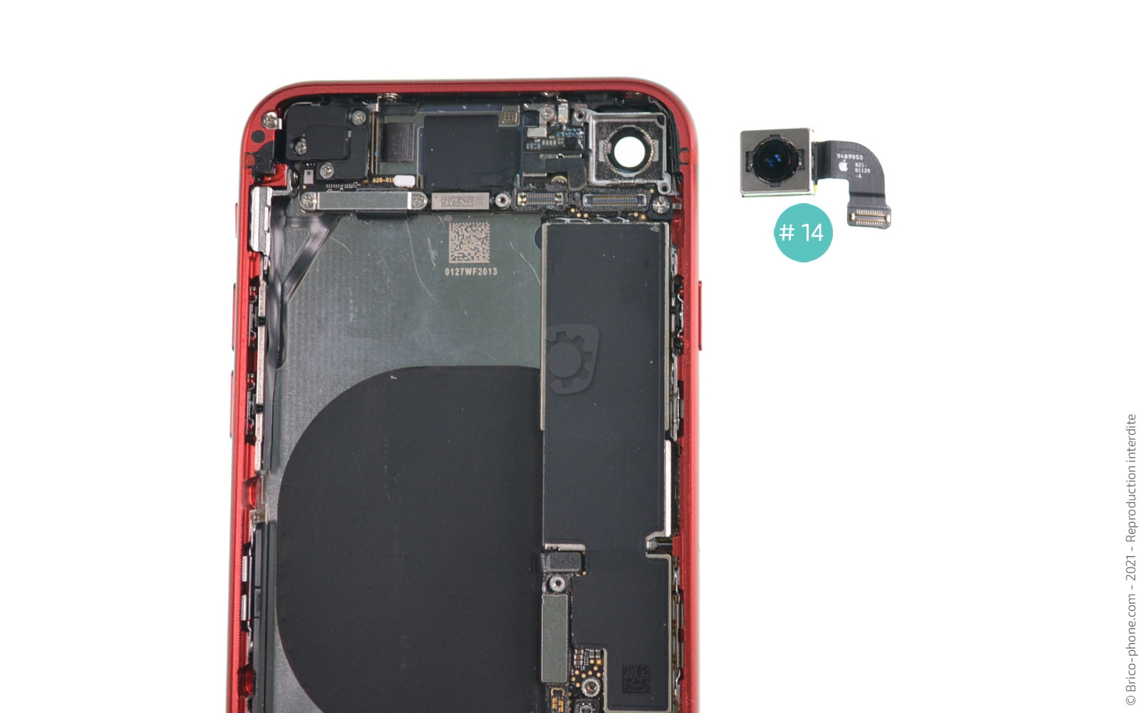 Changement de coque arrière sur iPhone SE 2020 photo 2