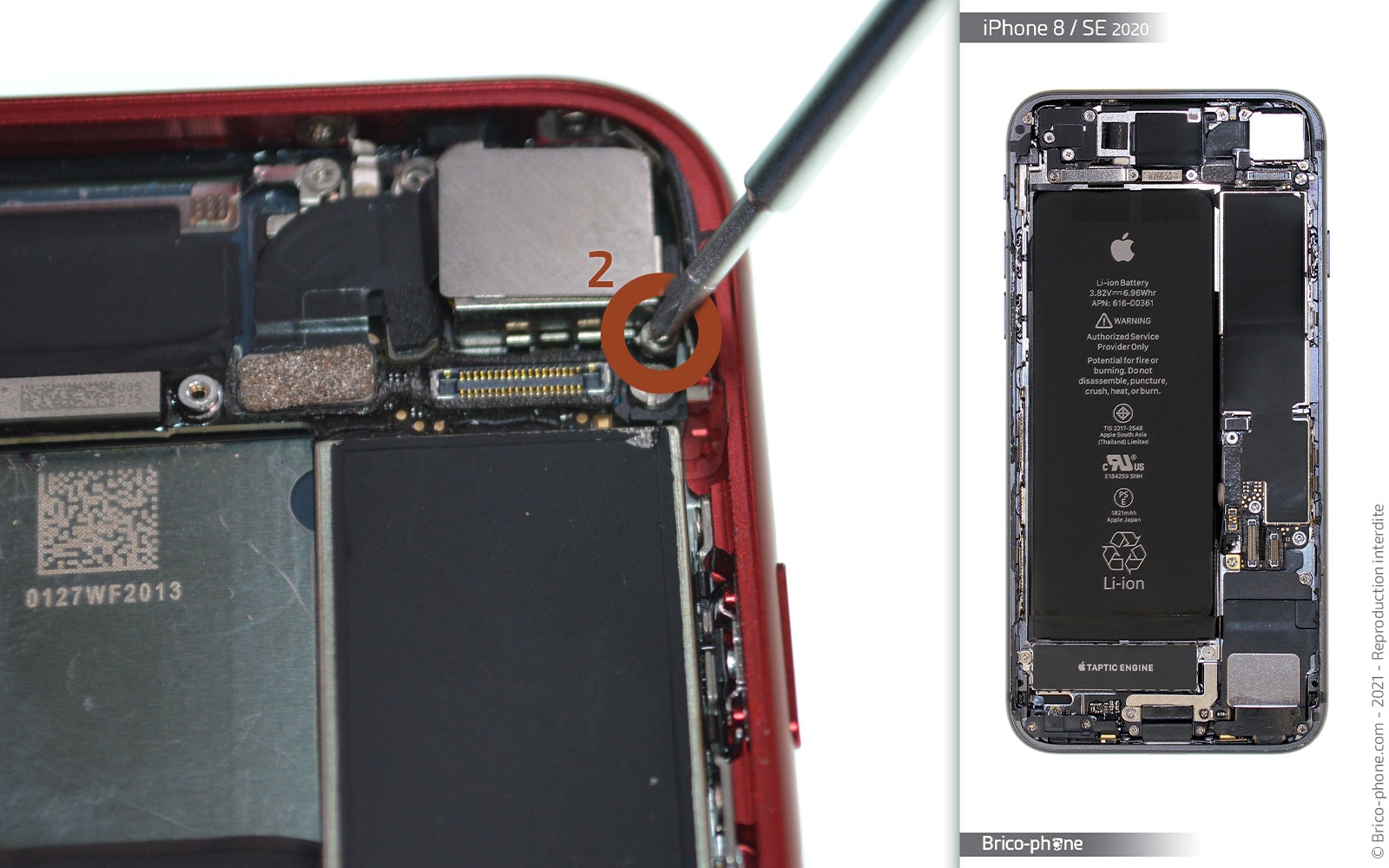 Changement de coque arrière sur iPhone SE 2020 photo 2