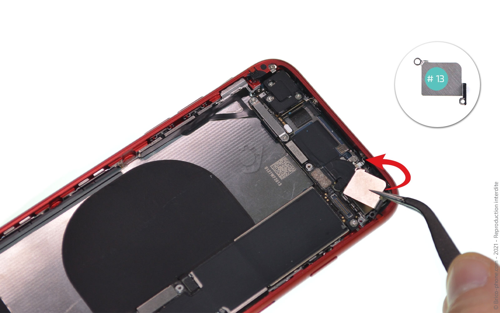 Changement de coque arrière sur iPhone SE 2020 photo 3