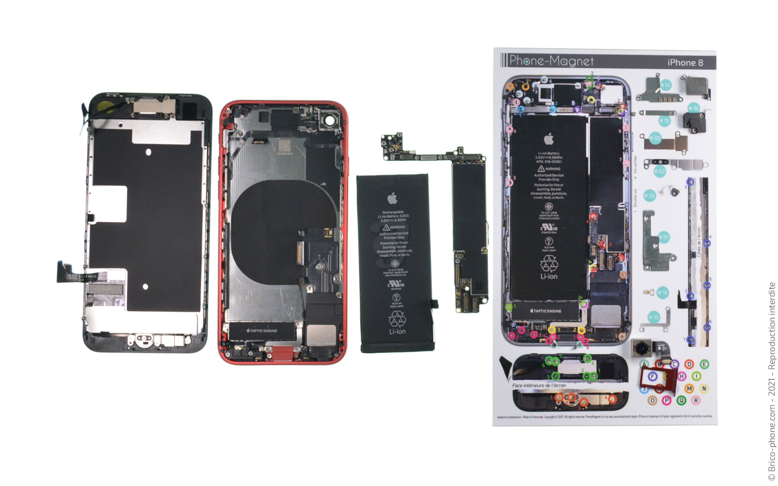 Changement de coque arrière sur iPhone SE 2020 photo 3