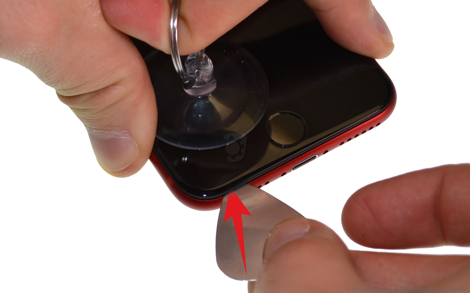 Changement du Taptic Engine (vibreur) sur iPhone SE 2020 photo 2