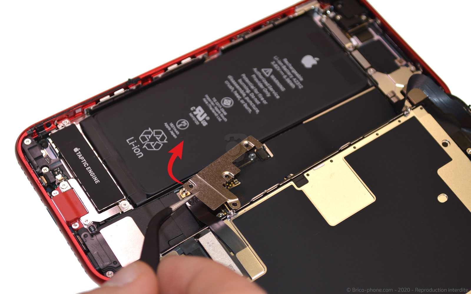 Changement du Taptic Engine (vibreur) sur iPhone SE 2020 photo 3