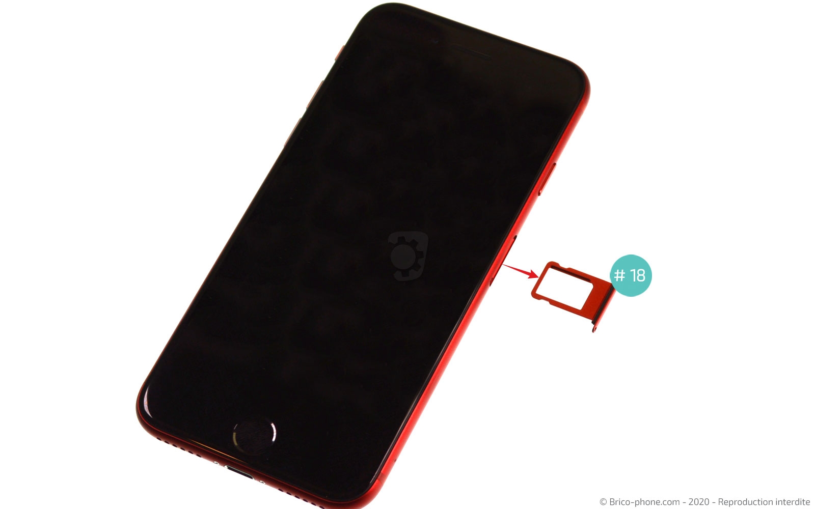 Changement du Taptic Engine (vibreur) sur iPhone SE 2020 photo 3