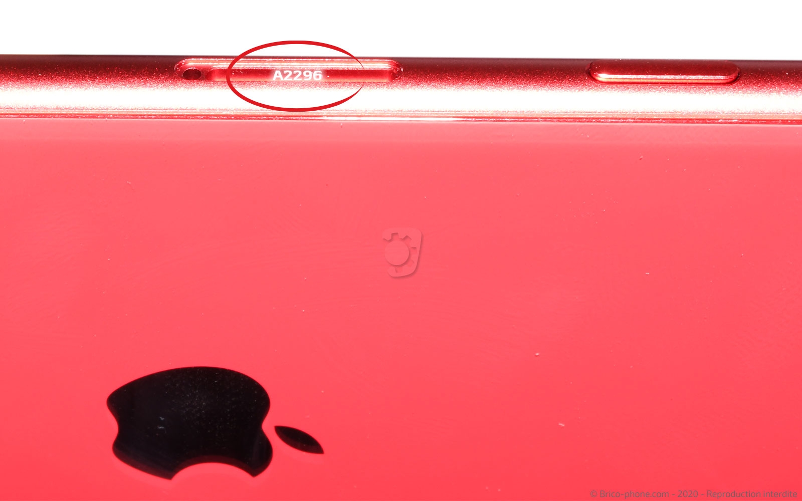 Changement du Taptic Engine (vibreur) sur iPhone SE 2020 photo 4