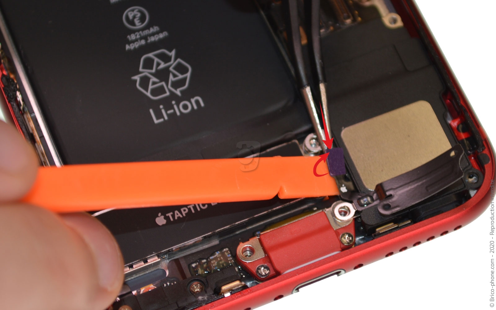 Changement du Taptic Engine (vibreur) sur iPhone SE 2020 photo 1